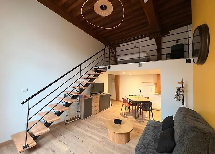 La Diligence - Climatise Au Coeur De Dijon